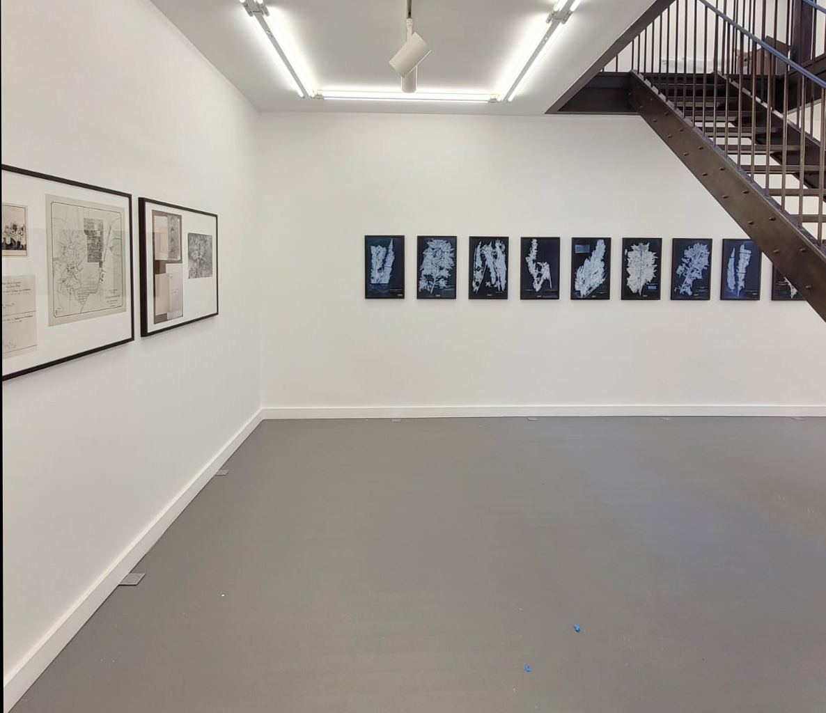 Uriel Orlow, Artemisia in Katanga