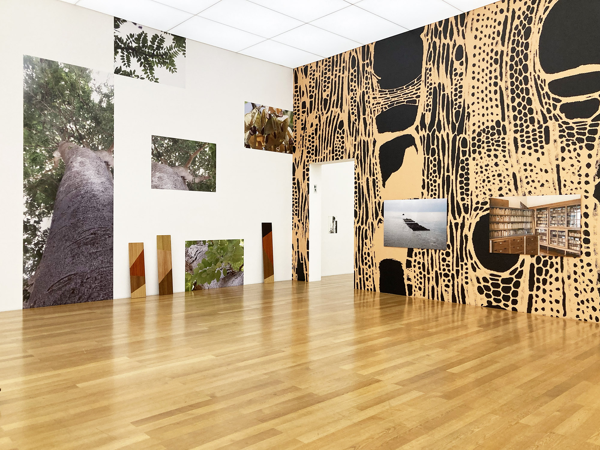 Uriel Orlow, Reading Wood (Backwards)